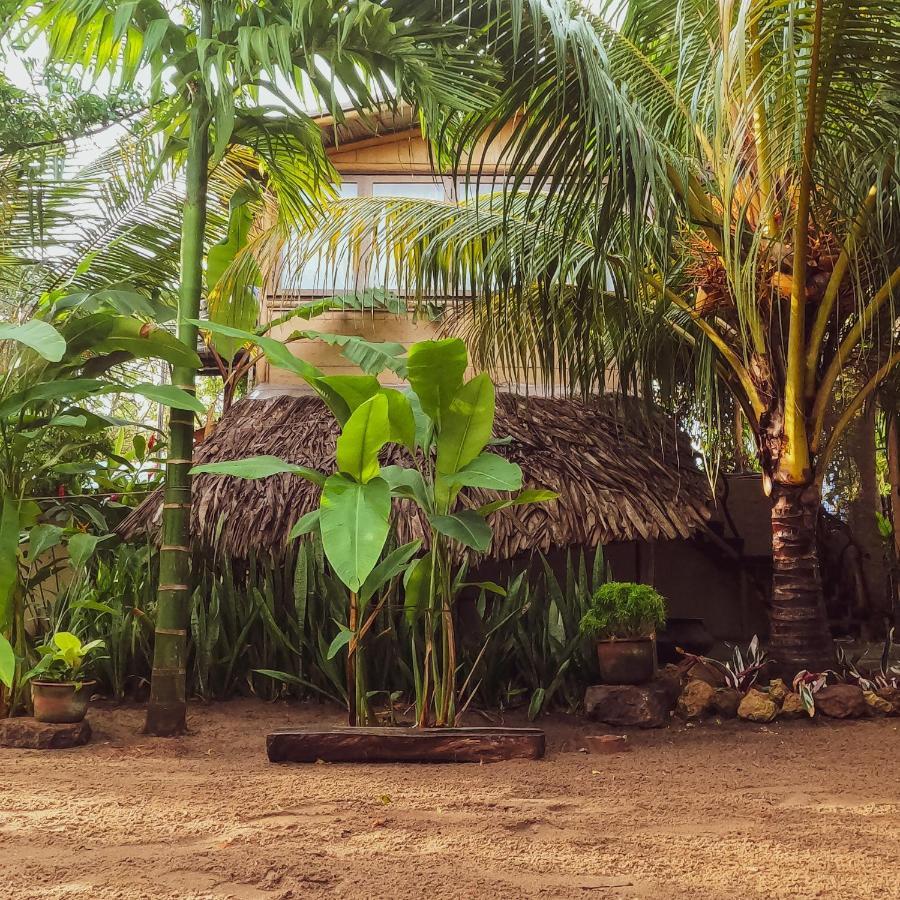 Monsoon Eco Resort - Whisky Point Arugambay Pottuvil Zewnętrze zdjęcie