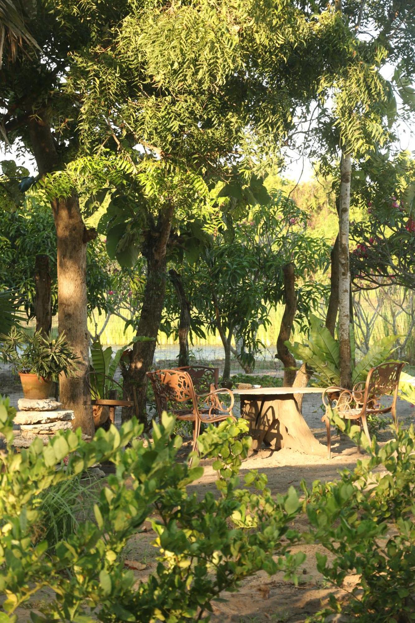 Monsoon Eco Resort - Whisky Point Arugambay Pottuvil Zewnętrze zdjęcie